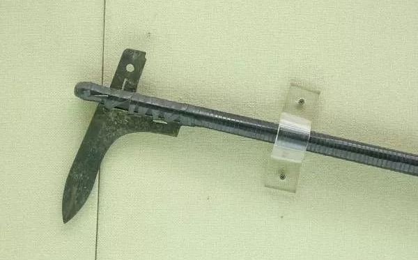 ����ʲô���ı���