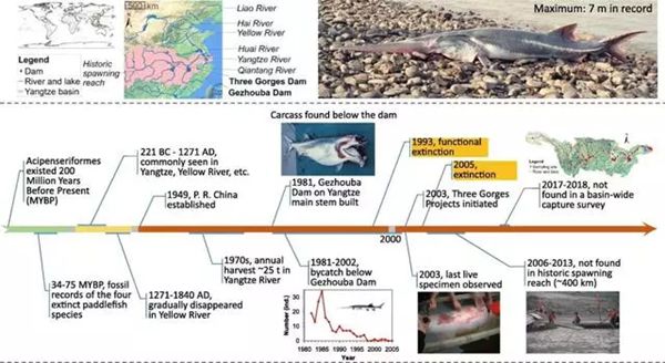 ������ô��,������ʲô��,��������Ϊʲô���