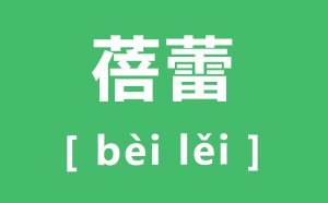ô_ٵƴʲô_ʲô˼?