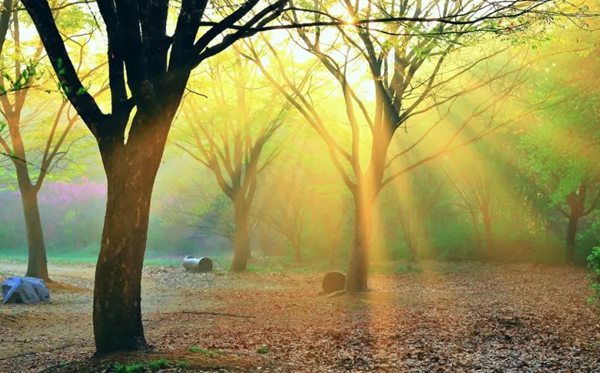 ��϶��ô��,��϶��ƴ��,��϶��ʲô��˼