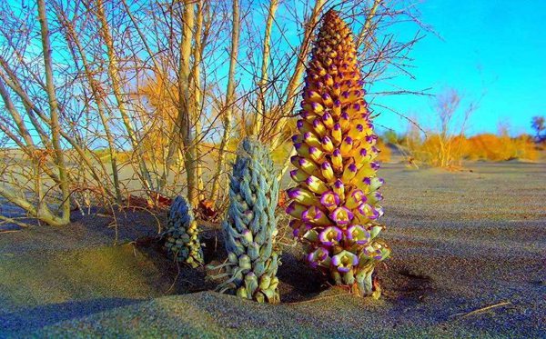 �����׶���ô��,�����׶���ƴ����ʲô,�����׶�������