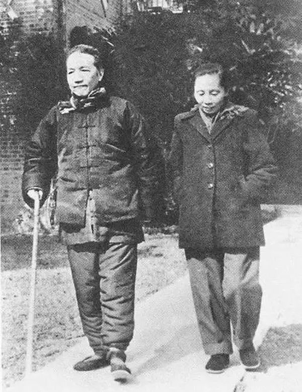 �����������ƹo