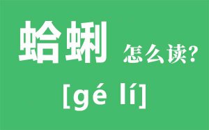 ������ô��ƴ����ʲô_������ʲô_���۵���������Щ��