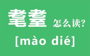 �����ô��ƴ����ʲô_�����ʲô��˼_���֮���Ƕ����ꣿ