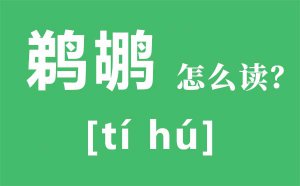 ������ô��_������ʲô��_���ɺ���˵�������ʲô