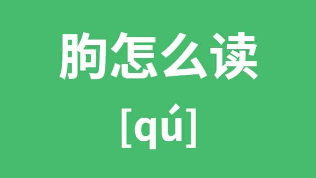 ô