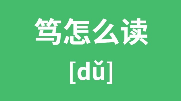 ô