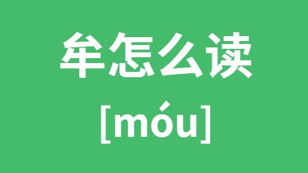 Ĳô