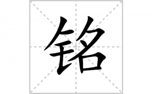 ���ı�˳�ʻ����д����������ƴ�������ס��ʻ�˳�򼰳������