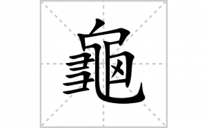 ���ı�˳�ʻ����д����������ƴ�������ס��ʻ�˳�򼰳������