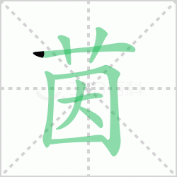 ����� ������������Щ�����뺺��������������ô�飡