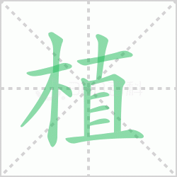 ֲ��� ���ֲ�������Щ�����뺺��ֲ�ı�˳��ôд��