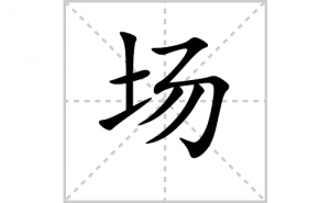 ���ı�˳�ʻ����д�����ֳ���ƴ�������ס��ʻ�˳�򼰳������