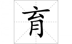 ���ı�˳�ʻ����д����������ƴ�������ס��ʻ�˳�򼰳������