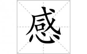 �еı�˳�ʻ����д�����ָе�ƴ�������ס��ʻ�˳�򼰳������