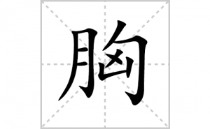 �صı�˳�ʻ����д�������ص�ƴ�������ס��ʻ�˳�򼰳������