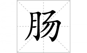 ���ı�˳�ʻ����д�����ֳ���ƴ�������ס��ʻ�˳�򼰳������