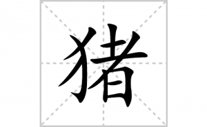 ���ı�˳�ʻ����д����������ƴ�������ס��ʻ�˳�򼰳������