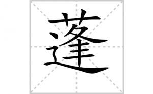 ��ı�˳�ʻ����д���������ƴ�������ס��ʻ�˳�򼰳������