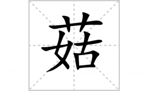 ���ı�˳�ʻ����д�����ֹ���ƴ�������ס��ʻ�˳�򼰳������