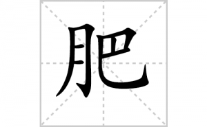 �ʵı�˳�ʻ����д�����ַʵ�ƴ�������ס��ʻ�˳�򼰳������