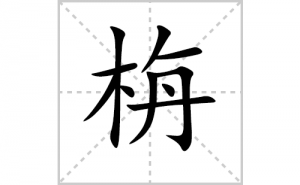 ������ôд�ÿ�����ı�˳���ʻ���д�̳̣�