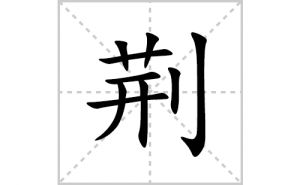 ���ı�˳�ʻ����д�����־���ƴ�������ס��ʻ�˳�򼰳������