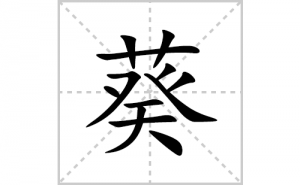 <b>���ı�˳�ʻ����д�����ֿ���ƴ�������ס��ʻ�˳�򼰳������</b>