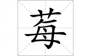 ݮ�ı�˳�ʻ����д������ݮ��ƴ�������ס��ʻ�˳�򼰳������