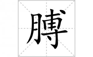 ���ı�˳�ʻ����д�����ֲ���ƴ�������ס��ʻ�˳�򼰳������