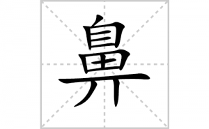 �ǵı�˳�ʻ���ôд�����ֱǵıʻ���ƴ����������ʼ���˼