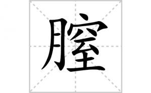 ���ı�˳�ʻ���ôд���������ıʻ���ƴ����������ʼ���˼