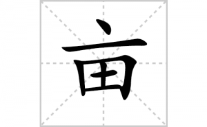 Ķ�ı�˳�ʻ���ôд������Ķ�ıʻ���ƴ����������ʼ���˼