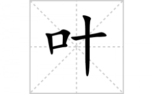 Ҷ�ı�˳�ʻ���ôд������Ҷ�ıʻ���ƴ����������ʼ���˼