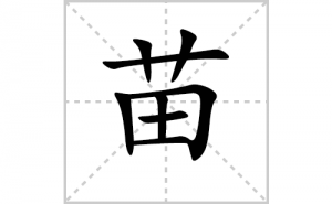 ��ı�˳�ʻ���ôд��������ıʻ���ƴ����������ʼ���˼