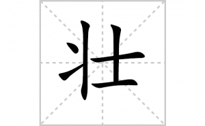 ׳�ı�˳�ʻ���ôд������׳�ıʻ���ƴ����������ʼ���˼