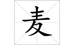 ��ı�˳�ʻ���ôд��������ıʻ���ƴ����������ʼ���˼