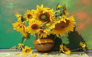 ���տ�Ϊʲô��������_���տ��������˵�ԭ��