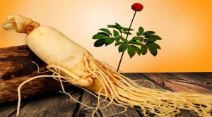 �˲�Ϊʲô����_�˲���Ļ�����