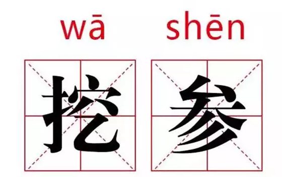 ˲Ϊʲô,˲Ļ