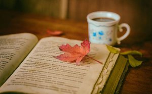 <b>Ϊʲô�������_������ҳ���Ƶ�ԭ����ʲô��</b>