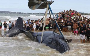 ����Ϊʲô���ǳ_�����ǳ�����λ�ȥ��ԭ��