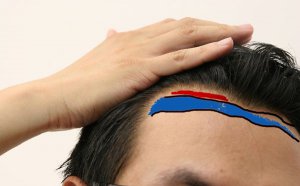 ������Ϊʲô�����_�����ߺ��Ƹ���ô�죿