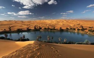 ΪʲôɳĮ���ɳ�Ӳ������ڽ�����