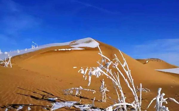 ΪʲôɳĮ���ɳ�Ӳ������ڽ���