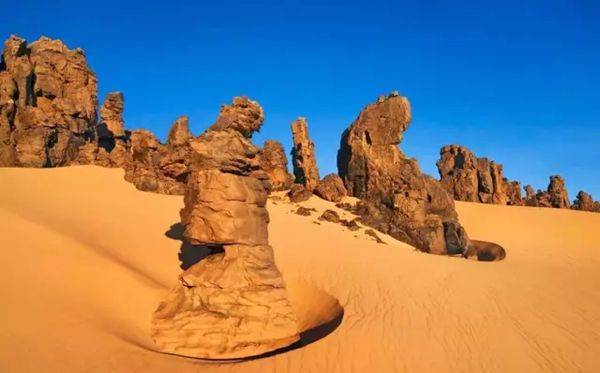 ΪʲôɳĮ���ɳ�Ӳ������ڽ���