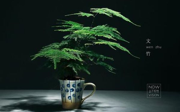 Ϊʲô���ﲻ��������,������������ʲô�ô�