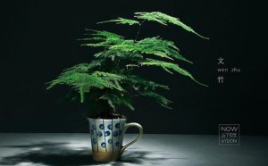 Ϊʲô���ﲻ��������_������������ʲô�ô���