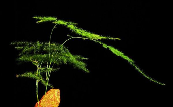 Ϊʲô���ﲻ��������,������������ʲô�ô�