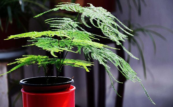 Ϊʲô���ﲻ��������,������������ʲô�ô�